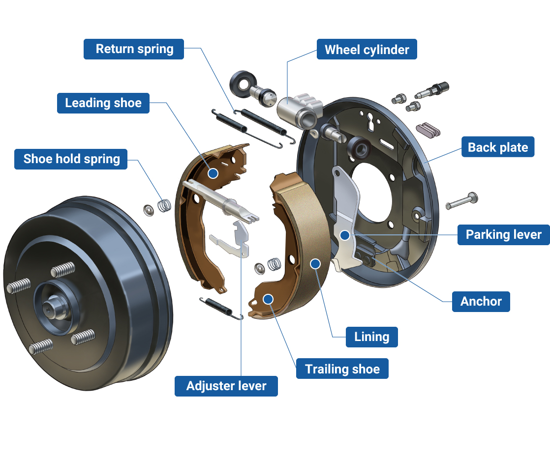 Rear Drum Brakes Diagram