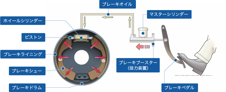 ドラムブレーキの構造イラスト