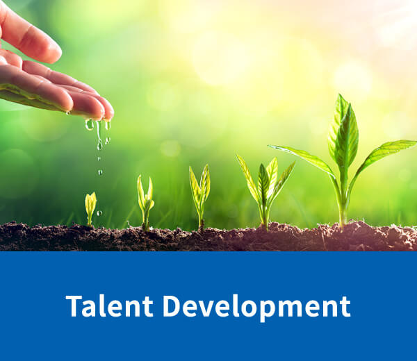 Talent Development