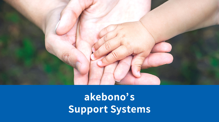 akebono's Support Systems