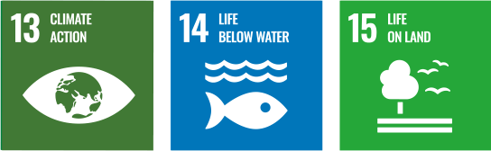 13.CLIMATE ACTION, 14.LIFE BELOW WATER, 15.LIFE ON LAND